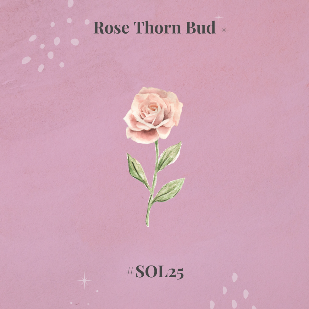 Pastel Pink and Green Illustrated Rose Phone Wallpaper 1080 x 1350 px